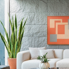 Revestimento Externo Texturizado Fosco 89x45cm Borda Reta Masseria Cinza Artesano