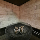 Revestimento Externo Acetinado Borda Arredondada 6,5x25,6cm Janina Pierini