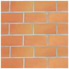 Revestimento Externo Cerâmica Natural 7x15cm Lepri Cerâmicas