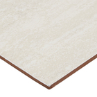 Revestimento Interno Brilhante Borda Arredondada 32X54 6083 M2 Viva Cerâmica