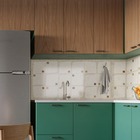 Revestimento Interno Ladrilho Hidrulico Polido 60x120cm Borda Reta Pipa Elizabeth