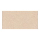 Revestimento Interno Marmorizado Granilhado 62x122cm Borda Reta CN620696 Embramaco