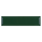 Revestimento Interno Monocolor Brilhante 7,5x30,5cm Borda Arredondada Soft Verde Gabriella