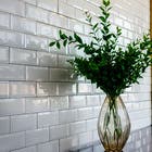 Revestimento para Parede Fachada Interno Monocolor Brilhante 10x20cm Borda Arredondada Bold Branco Ceral