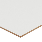 Revestimento Interno Brilhante Ártico 45X90cm Incesa