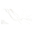 Revestimento Interno Marmorizado Polido Borda Reta 40x81cm Place Formigres Premium