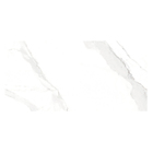 Revestimento Interno Marmorizado Polido Borda Reta 40x81cm Place Formigres Premium