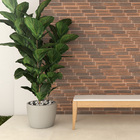 Revestimento para Parede Interna Acetinado Borda Arredondada Brit King's Road 6,5x23cm Portobello