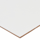 Revestimento para Piscina Branco Brilhante 20x20cm Eliane