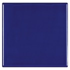 Revestimento para Piscina Brilhante Azul Naval 15x15cm Eliane