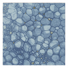 Revestimento Para Piscina Bubbles Nat 20x20cm Ceusa