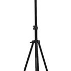 Ring Light 26 Cm + Tripe Extensivel