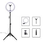 Ring Light 26cm 10 Tripé 210cm