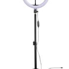 Ring Light 26cm 10 Tripé 210cm