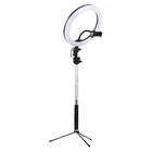 Ring Light Iluminador 26cm