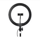 Ring Light Iluminador 26cm