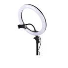 Ring Light Iluminador 26cm