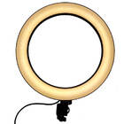 Ring Light Iluminador Led 10 Polegadas Com Suporte P/celular