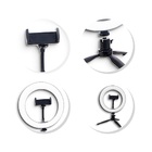 Ring Light Led Completo Iluminador Portátil 20cm Tripé 360º