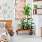 Rodapé De Poliestiremo Frisado 5,5cmx2,44m Rende 2,44 Metros