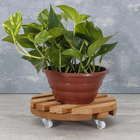 Rodízio para Móveis com Chapa 10kg Plástico sem Freio Giratório 25mm Branco 1 peça