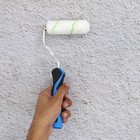 Rolo para Parede e Teto Rugoso 11cm Dexter