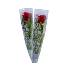 Rosa Botao 040 Cm Tubete