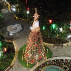 Rosa Branca De Santa Rita Para Praça Da Prefeitura De Extrema