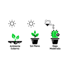 Rosa Do Deserto Dobrado Pote 15