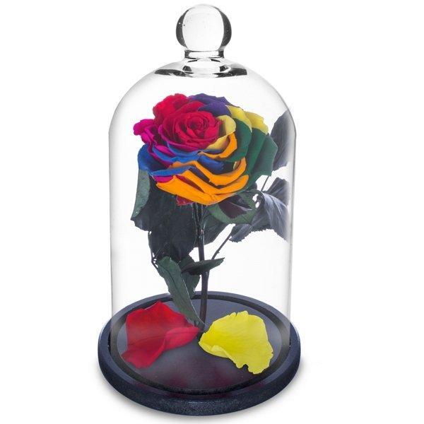 Rosa Encantada A Bela E A Fera Na Cúpula De Vidro Multicolor | Leroy Merlin