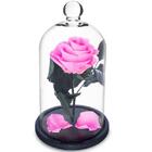 Rosa Encantada A Bela E A Fera Na Cúpula De Vidro Rosa