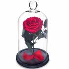 Rosa Encantada A Bela E A Fera Na Cúpula De Vidro Vermelha