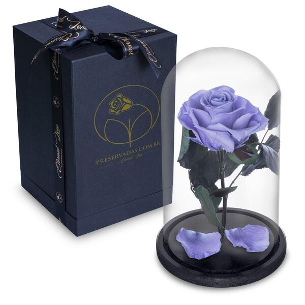 Rosa Encantada Rosa Eterna Na Cúpula De Vidro