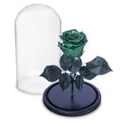 Rosa Encantada Rosa Eterna Na Cúpula De Vidro