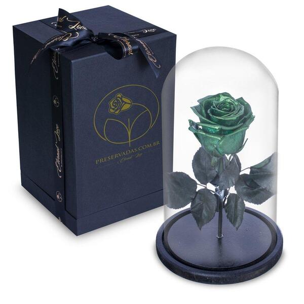 Rosa Encantada Rosa Eterna Na Cúpula De Vidro