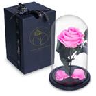 Rosa Encantada Rosa Eterna Na Cúpula De Vidro