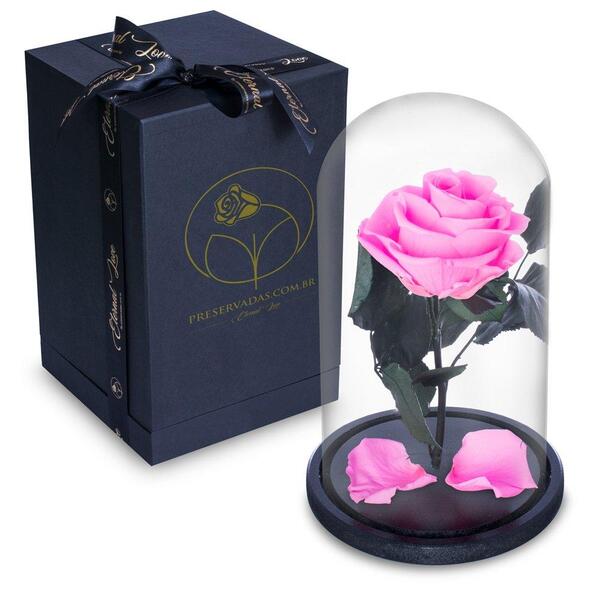 Rosa Encantada Rosa Eterna Na Cúpula De Vidro