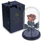 Rosa Encantada Rosa Eterna Na Cúpula De Vidro