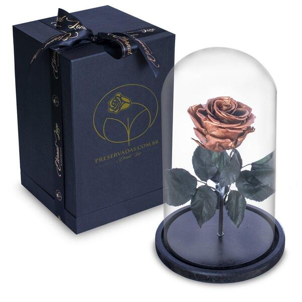 Rosa Encantada Rosa Eterna Na Cúpula De Vidro