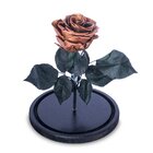 Rosa Encantada Rosa Eterna Na Cúpula De Vidro