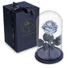 Rosa Encantada Rosa Eterna Na Cúpula De Vidro