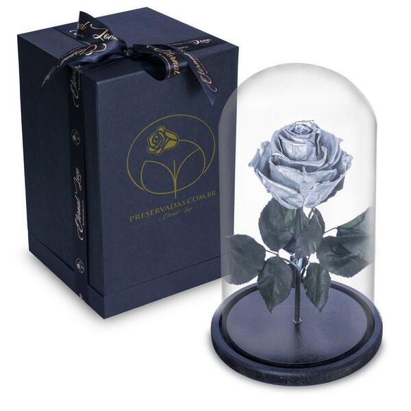 Rosa Encantada Rosa Eterna Na Cúpula De Vidro