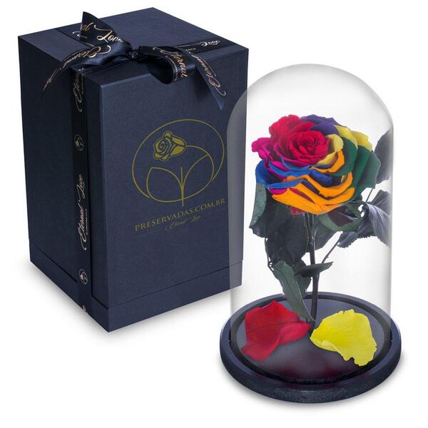 Rosa Encantada Rosa Eterna Na Cúpula De Vidro