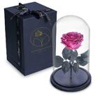 Rosa Encantada Rosa Eterna Na Cúpula De Vidro