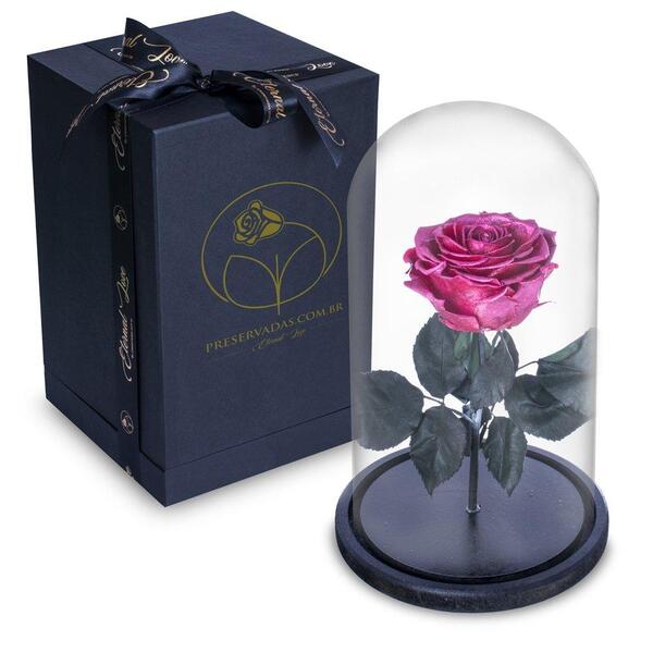 Rosa Encantada Rosa Eterna Na Cúpula De Vidro