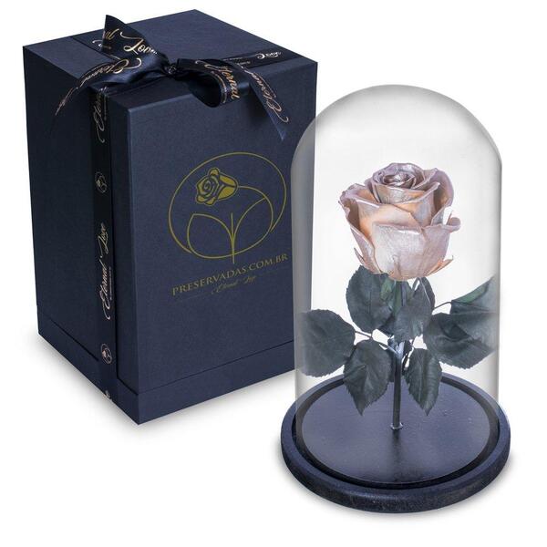 Rosa Encantada Rosa Eterna Na Cúpula De Vidro