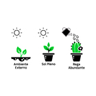 Roseira Pendente Pote 20