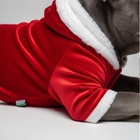 Roupa De Natal Para Cachorro Com Capuz Vermelha - Tam. P
