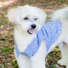 Roupa para Cachorro Colete de Sarja Unissex Roupas Grife Pet