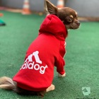 Roupa Para Cachorro Moletom Com Capuz Vermelha - Tam. P